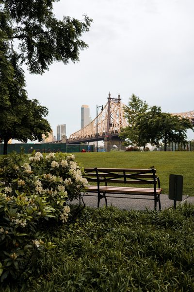 Roosevelt Island landscape with Queensboro Bridge — NYC pre-engagement session landscape photography by byag.studio